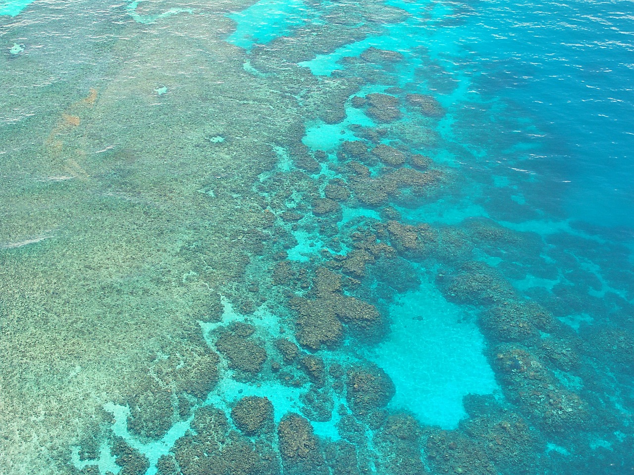 great barrier reef, dive, diving, corals, ocean, pacific, aerial view, australia, great barrier reef, great barrier reef, great barrier reef, great barrier reef, great barrier reef, nature, australia, australia