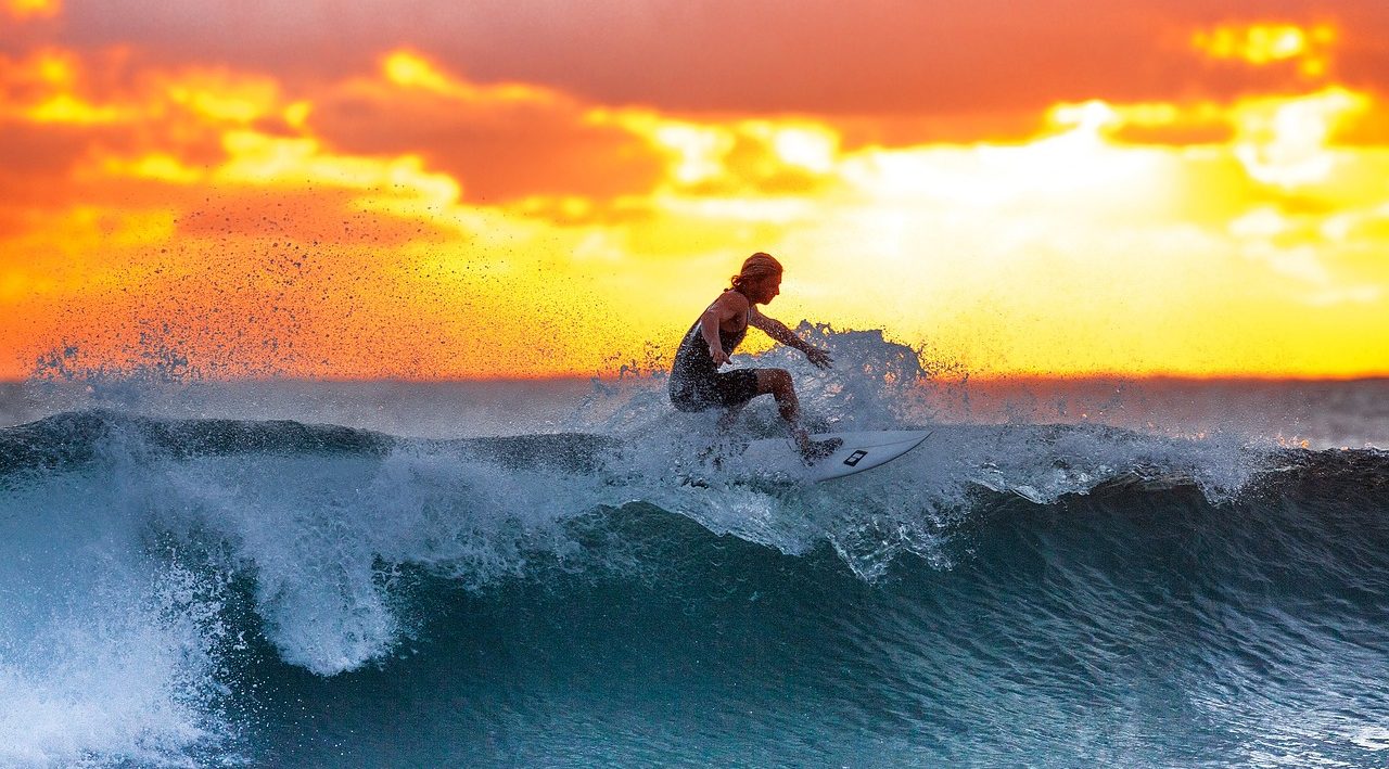surfing, sunset, waves, surf, surfboard, surfer, nature, water sports, sea, java island, indonesia, water, ocean, seascape, surfing, surfing, surfing, surfing, surfing, surf, surf
